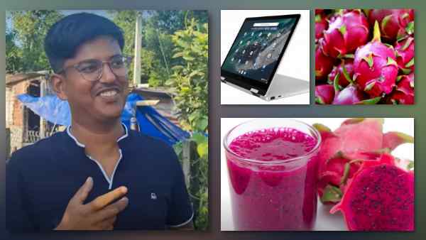 एवोकैडो जैसे अन्य विदेशी फलों पर भी रिसर्च की योजना