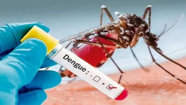 क्या होते हैं प्लेटलेट्स ?