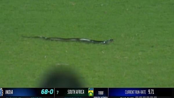 दोनों टीमों में शामिल हैं ये खिलाड़ी दोनों टीमों में शामिल हैं ये खिलाड़ी