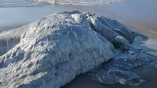 शरीर अंदर से दिख रहा था रहस्यमयी