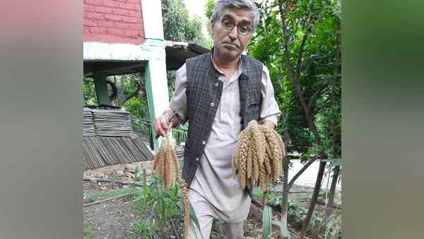 खेती-किसानी से प्यार और स्वदेशी बीजों के Saviour