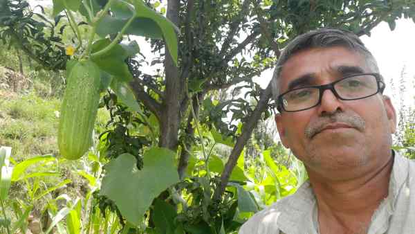 2002 के बाद से इंटरक्रॉपिंग सिस्टम 