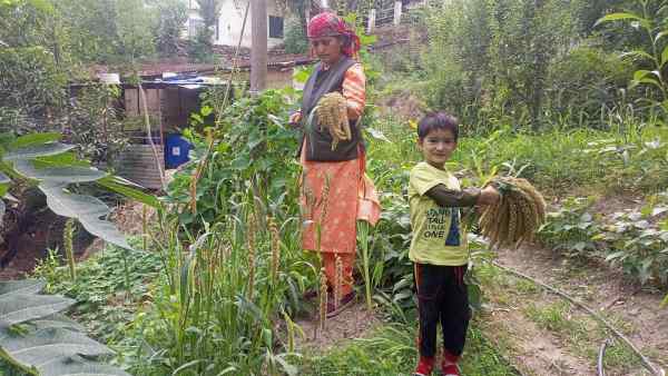 एक साल में 18 फसलें