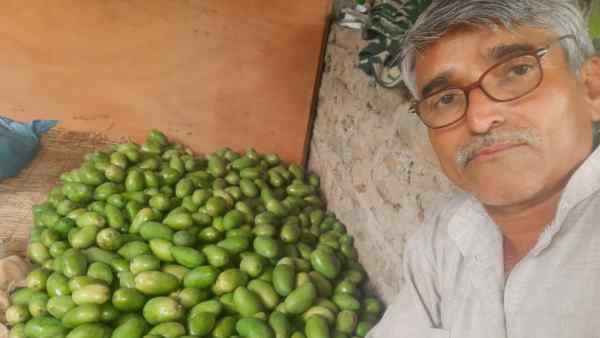 खुद का स्वदेशी बीज बैंक बनाया