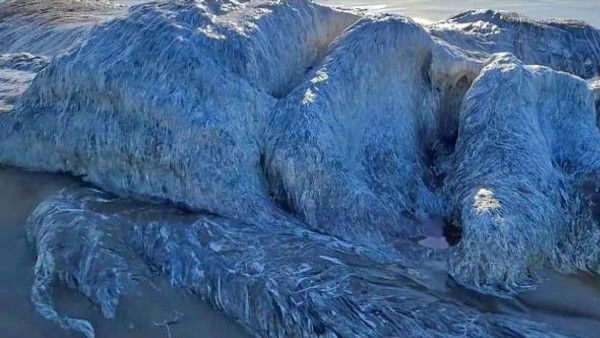 एक्सपर्ट ने बताया सच