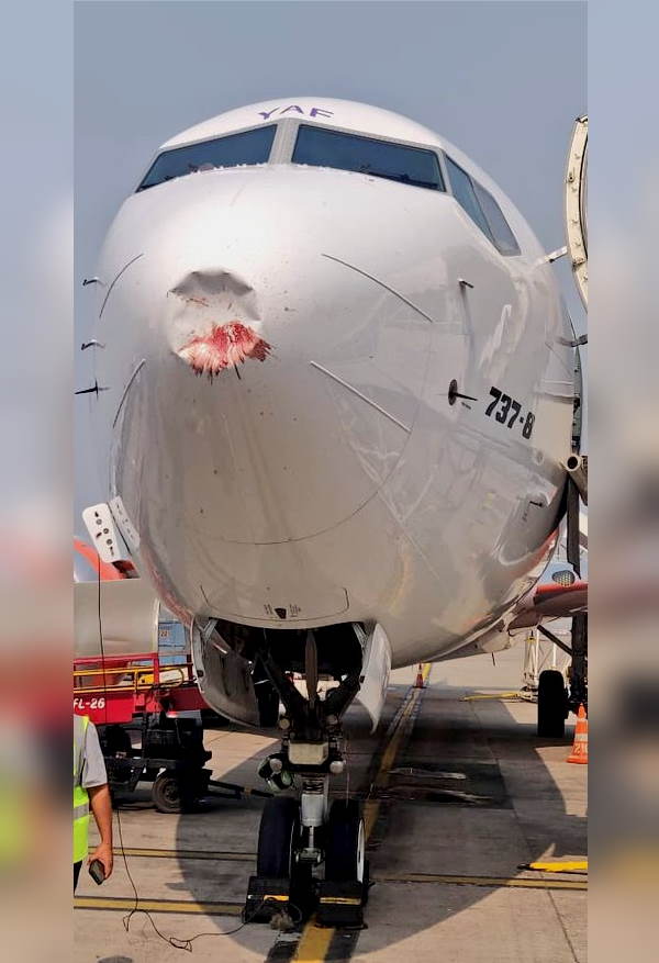 flight accident delhi: Akasa Air 737 MAX plane hit by bird, radome damage; DGCA says- landing safe
