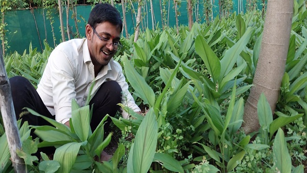 5 एकड़ खेत से हल्दी बेचकर कमाए 20 लाख रुपए