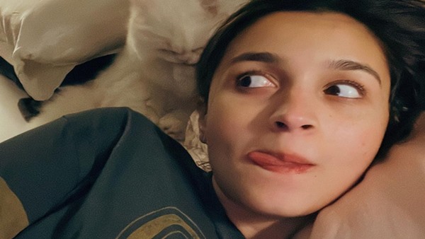 बेड पर लेटे हुए बिताई दिवाली बेड पर लेटे हुए बिताई दिवाली