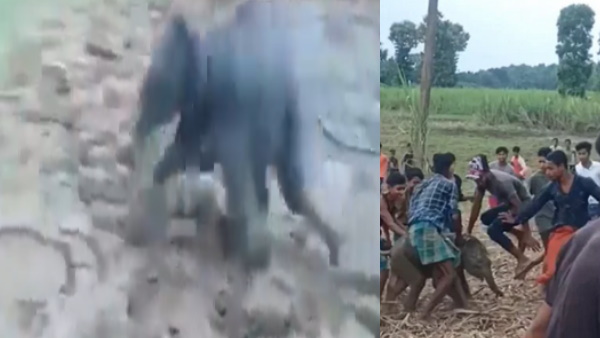 12 अक्‍टूबर की है ये घटना 