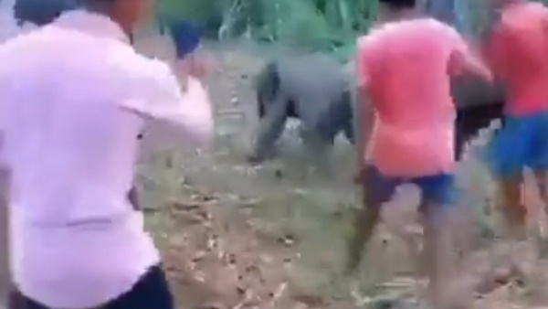 वीडियो देख भड़के लोग कर रहे जल्‍द कार्रवाई की मांग 