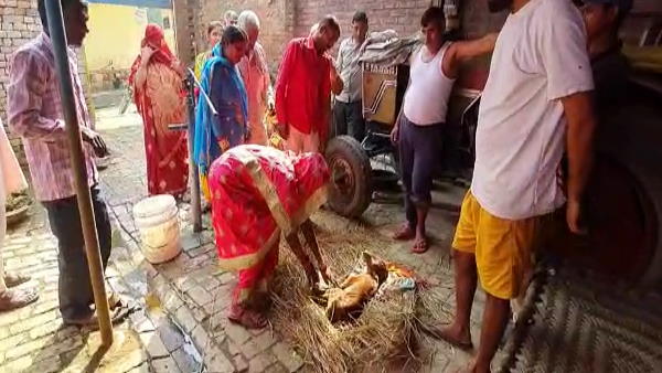 कुदरत का करिश्मा या वैज्ञानिक कारण