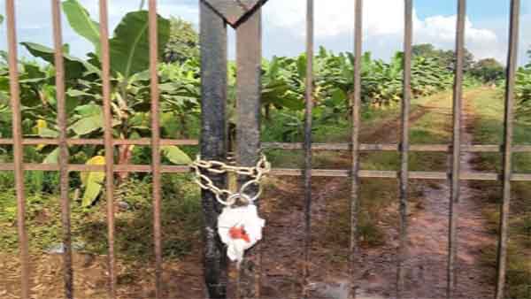 केला और पपीता की हो रही थी खेती, बनाया था आश्रम