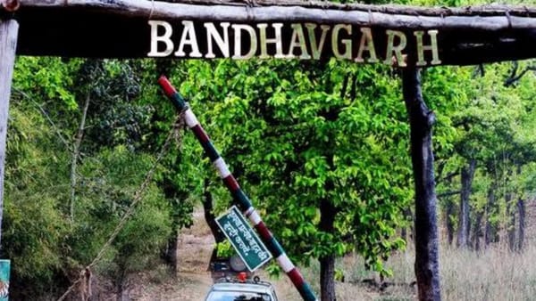 भद्रशिला तालाब के किनारे अक्सर देखे जाते हैं जोड़ें