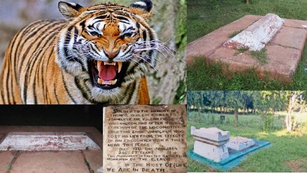 थॉमस राबर्ट ने 1864 में किया था बाघ का शिकार