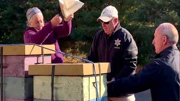 पहले भी अजीब आचरण के आरोप लग चुके हैं