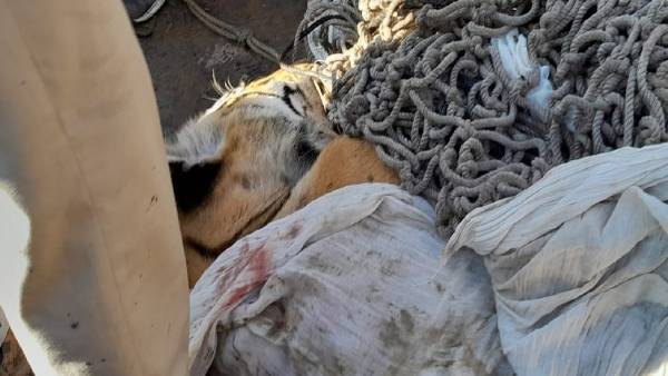 ऐसा पहला मौका, जब एनकाउंटर का दिया आदेश