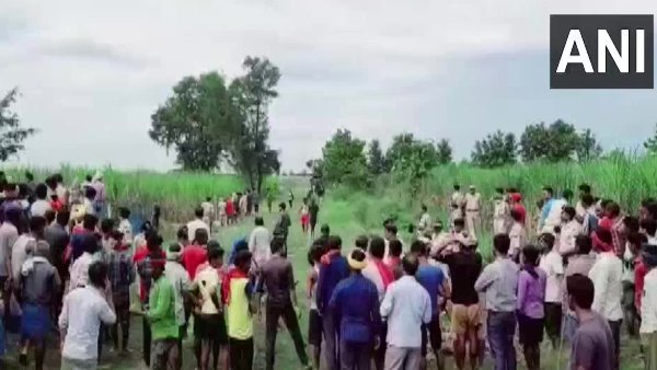 ड्रोन कैमरे और हाथी बाघ की तलाश में उतारे