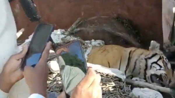  7 शार्प शूटर बुलाए, जिन्होंने 4 गोली में किया खेल खत्म