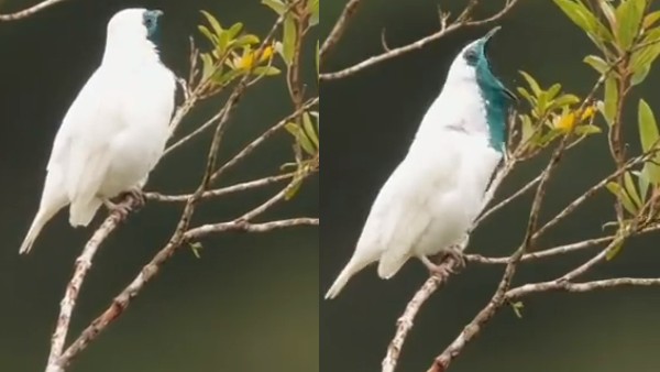  वीडियो के मिले 2.8 लाख व्यूज