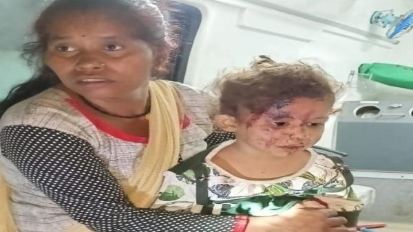 हरिद्वार से बारात लेकर पौड़ी गढ़वाल आ रही थी हरिद्वार से बारात लेकर पौड़ी गढ़वाल आ रही थी