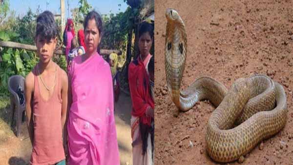 बहन के घर खेलने पहुंचा था दीपक, फिर सांप ने काटा