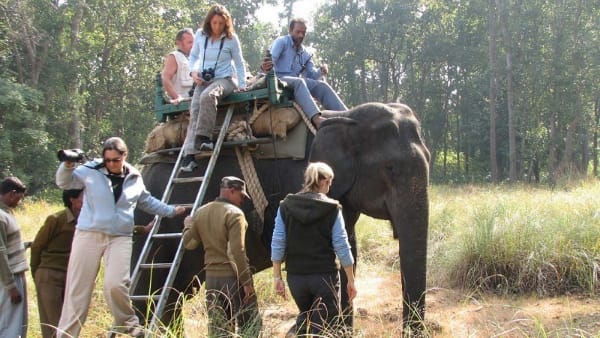 हथिनी की खासियत हथिनी की खासियत