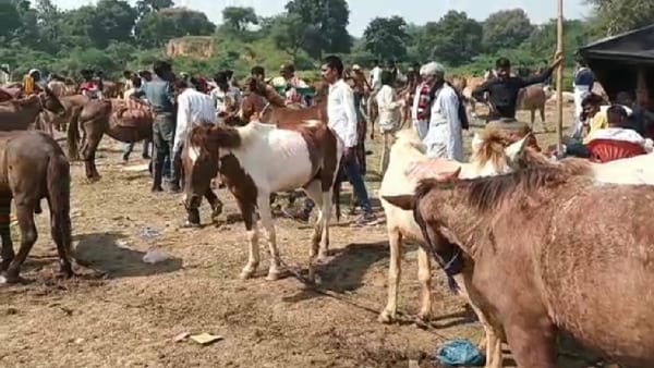 मुगल शासक औरंगजेब ने मेला की शुरुआत मुगल शासक औरंगजेब ने मेला की शुरुआत