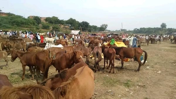व्यापारियों के लिए सुविधाओं का अभाव