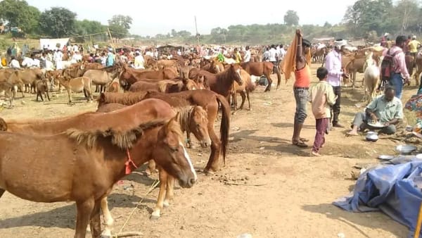  इकलौता अनोखा मेला 