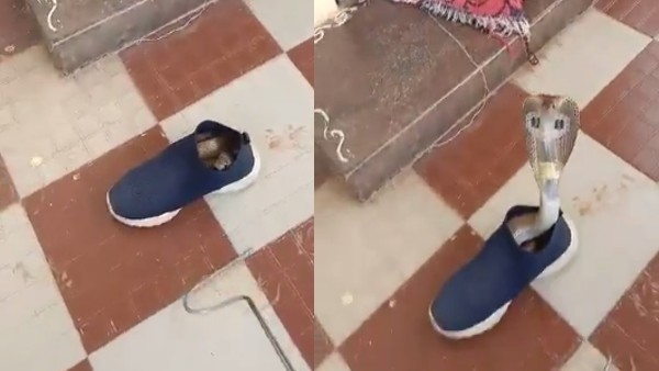 मैसूर से सामने आया डरा देने वाला वीडियो