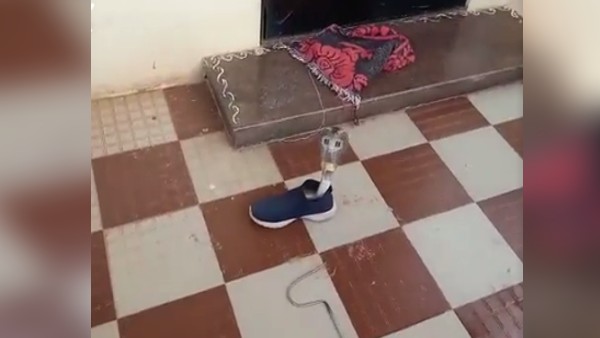 जूते पहनने वाला था, तभी...