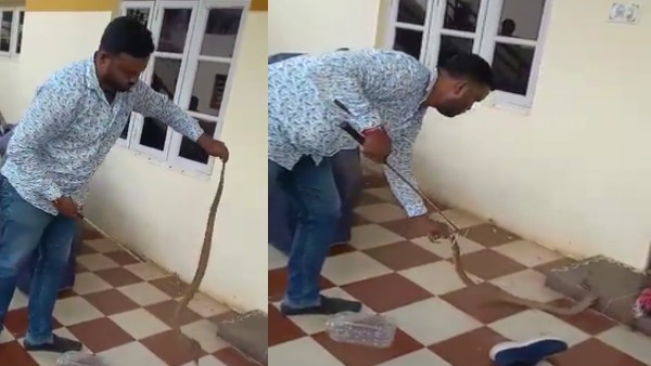 कोबरा सांप देखकर दंग रह गए लोग 