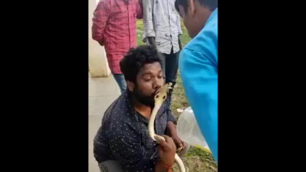 एलेक्स को ले जाया गया अस्पताल, बच गई जान