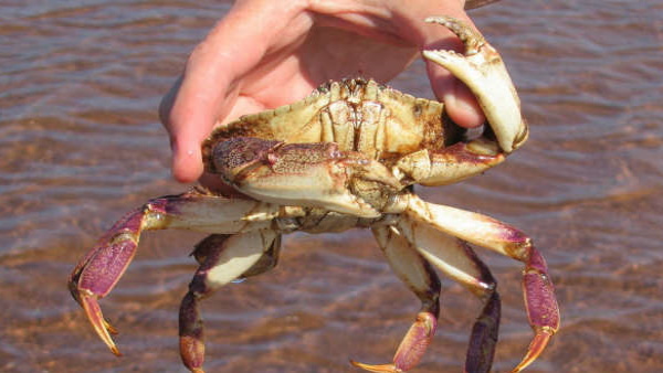 जानें कौन है ये शख्स जानें कौन है ये शख्स