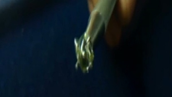 जेम्स क्वालिटी का 4.69 कैरेट का हीरा मिला है