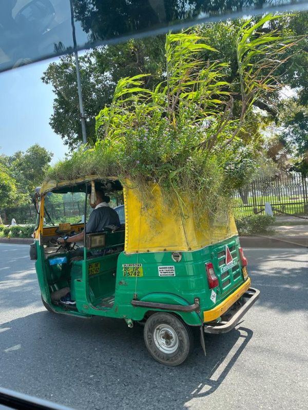  दिल्‍ली की गर्मी सहन नहीं होती