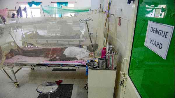 जोड़ों और मांसपेशियों में बहुत ज्यादा दर्द