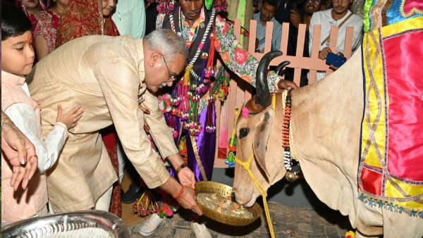 देवारी तिहार में नरवा गरवा घुरवा बारी की झलक 