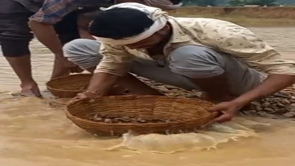 शमशेर खान की आखिर चमक उठी किस्मत