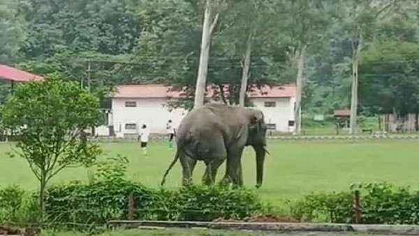 शार्ट पीएम में हुई कीटनाशक की पुष्टि