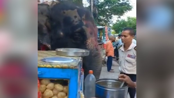 वीडियो सोशल मीडिया पर वायरल