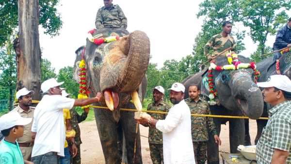 तमोर पिंगला अभ्यारण के पुनर्वास केंद्र भेजने की तैयारी
