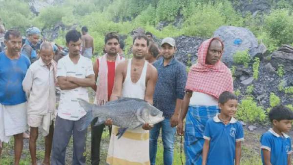 साल 2010 में शशिकांत की मेहनत रंग लाई