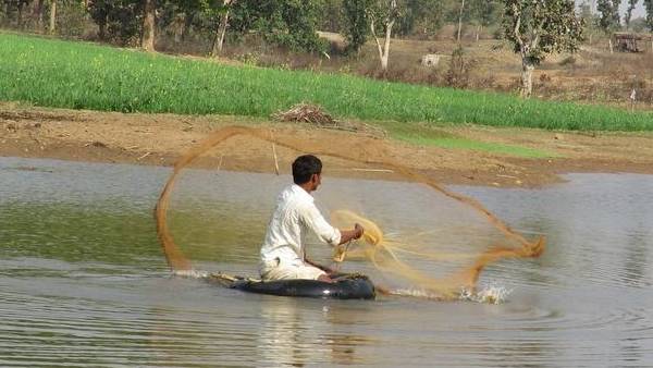 मछली पालन का अनोखा प्रयोग