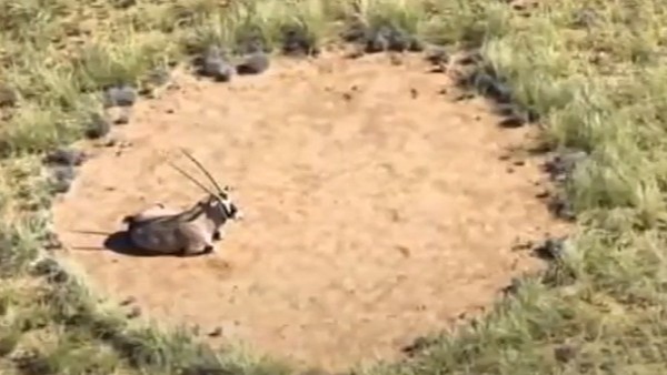 जमीन के अंदर है ड्रैगन?