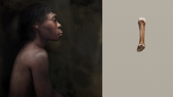 54,000 साल पहले से थे मौजूद