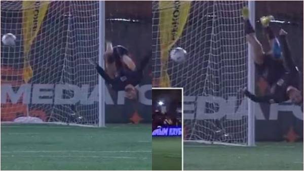 तेजी से वायरल हुआ वीडियो