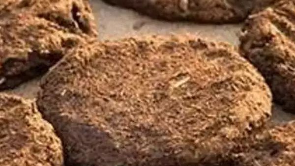 घड़ी के जगह मिले गोबर के उपले