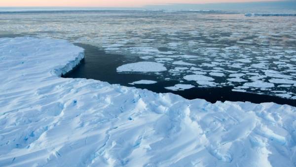 क्या बैक्टीरिया प्रकाश संश्लेषण के बिना भी रह सकता है? क्या बैक्टीरिया प्रकाश संश्लेषण के बिना भी रह सकता है?