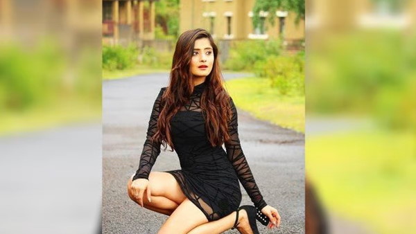 इन सीरियल से मिली थी पहचान 